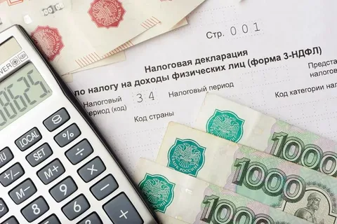 В РФ семьи с 2026 года смогут получить налоговую выплату по одному заявлению