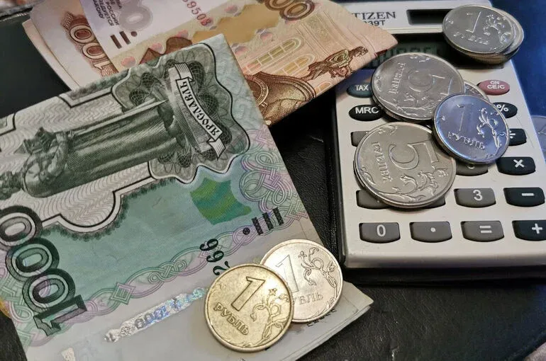 В России многодетным предпринимателям предлагают в два раза снизить налоги